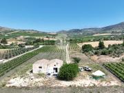 Rustici e casali in vendita di 231 m²