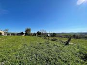 Rustici e casali in vendita di 237 m² in Via del...