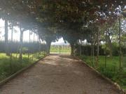 Rustici e casali in vendita di 240 m²