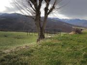 Rustici e casali in vendita di 245 m²