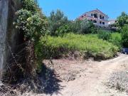 Rustici e casali in vendita di 2500 m²