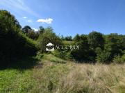 Rustici e casali in vendita di 250 m²