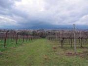 Rustici e casali in vendita di 250 m² in Via Antonio Canova