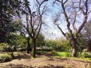 Rustici e casali in vendita di 250 m² in Via del Lavoro