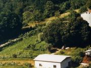 Rustici e casali in vendita di 250 m² in Via Vittorio...