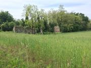 Rustici e casali in vendita di 259 m²