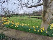 Rustici e casali in vendita di 25 m²