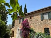 Rustici e casali in vendita di 270 m²