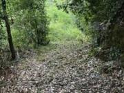 Rustici e casali in vendita di 275 m² in Via Provinciale...