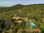 Rustici e casali in vendita di 277 m² in Località Ossaia