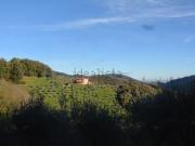 Rustici e casali in vendita di 280 m²