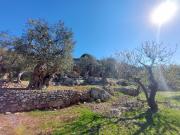 Rustici e casali in vendita di 280 m² in Contrada Cacaveccia
