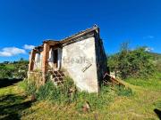 Rustici e casali in vendita di 290 m² in Via Ortana Vecchia