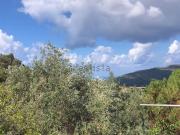 Rustici e casali in vendita di 300 m²