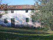 Rustici e casali in vendita di 300 m²