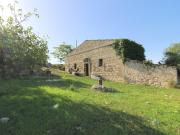 Rustici e casali in vendita di 300 m²