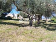 Rustici e casali in vendita di 300 m²