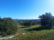 Rustici e casali in vendita di 300 m² in Contrada pezza