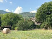 Rustici e casali in vendita di 300 m² in Località...