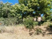 Rustici e casali in vendita di 300 m² in Via del Gesso