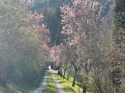 Rustici e casali in vendita di 300 m² in Via Giuseppe di...