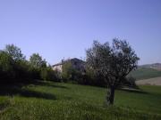 Rustici e casali in vendita di 300 m² in Via Saltregna