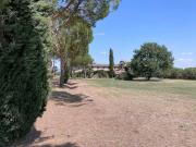 Rustici e casali in vendita di 300 m² in Via XXV Aprile, 3