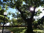 Rustici e casali in vendita di 300 m² in Via Riva Borela