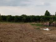 Rustici e casali in vendita di 304 m² in Via sinistra...