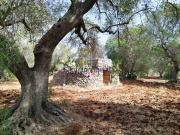 Rustici e casali in vendita di 30 m²