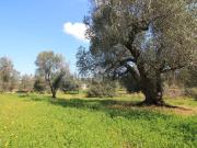 Rustici e casali in vendita di 30 m²