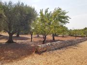 Rustici e casali in vendita di 30 m²