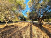 Rustici e casali in vendita di 30 m²