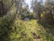 Rustici e casali in vendita di 30 m² in Strada di Rotavello