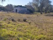 Rustici e casali in vendita di 30 m² in Strada...