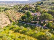 Rustici e casali in vendita di 310 m²