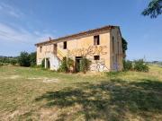 Rustici e casali in vendita di 320 m² in Via Granelli