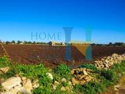 Rustici e casali in vendita di 325 m² in Traversa renella