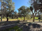 Rustici e casali in vendita di 32 m² in Contrada Mondescine