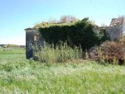 Rustici e casali in vendita di 330 m²