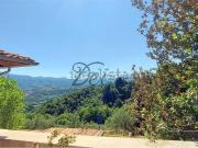 Rustici e casali in vendita di 338 m²