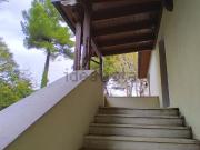 Rustici e casali in vendita di 338 m² in Via Paterno...