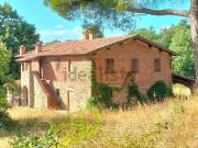 Rustici e casali in vendita di 350 m²