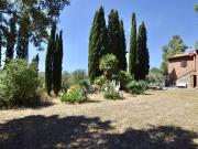 Rustici e casali in vendita di 350 m²