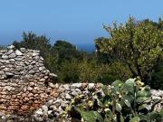 Rustici e casali in vendita di 350 m² in Contrada Cento... Rustici e casali in vendita di 350 m² in Contrada Cento...