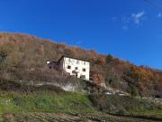 Rustici e casali in vendita di 350 m² in Via scopoli