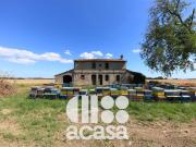 Rustici e casali in vendita di 358 m² in Via Sansovini, 5