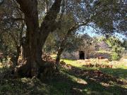 Rustici e casali in vendita di 35 m² in Contrada fedele...