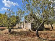 Rustici e casali in vendita di 35 m² in Contrada pezze...