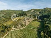 Rustici e casali in vendita di 360 m² in Via dell&apos...